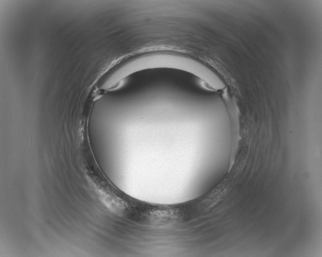 X0000078890160200612111814