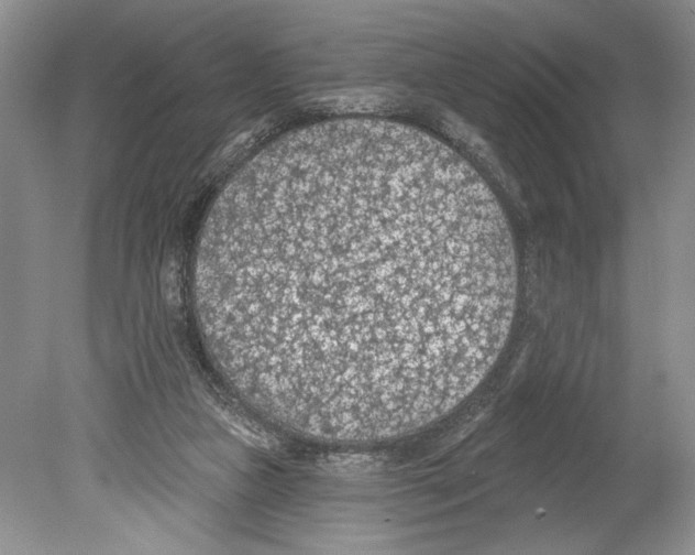 X0000078890161200612111814