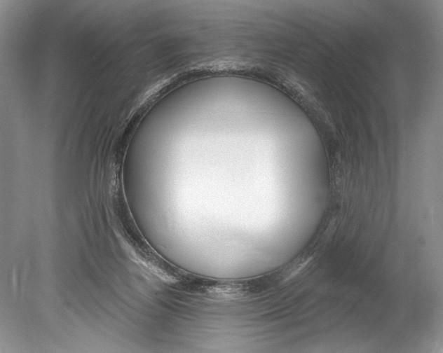 X0000078890164200612111814