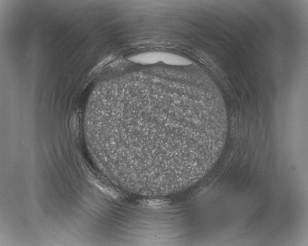 X0000078890165200612111814