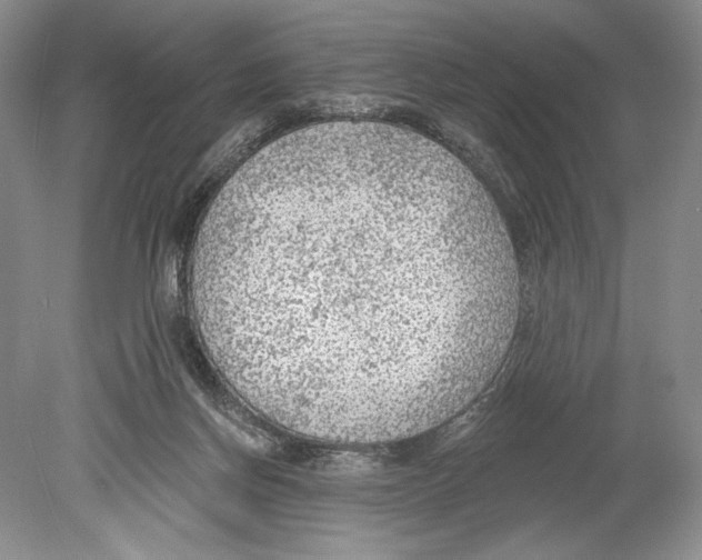 X0000078890166200612111814