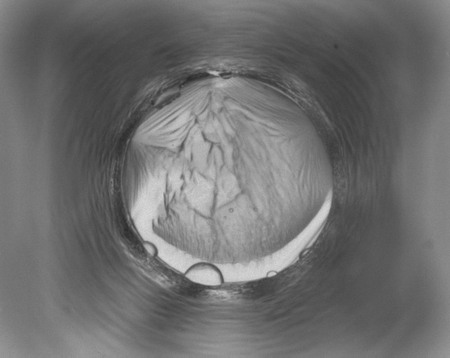 X0000078890167200612111814