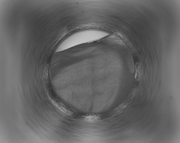 X0000078890168200612111814