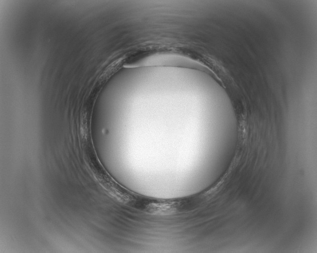 X0000078890170200612111814