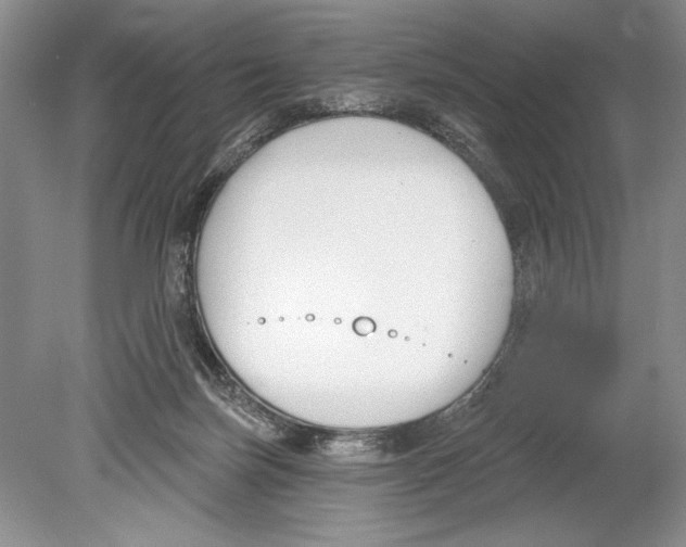 X0000078890171200612111814