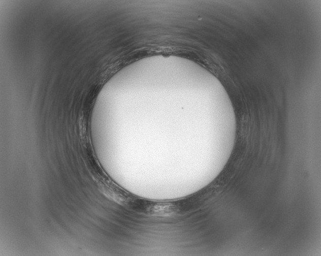 X0000078890173200612111814