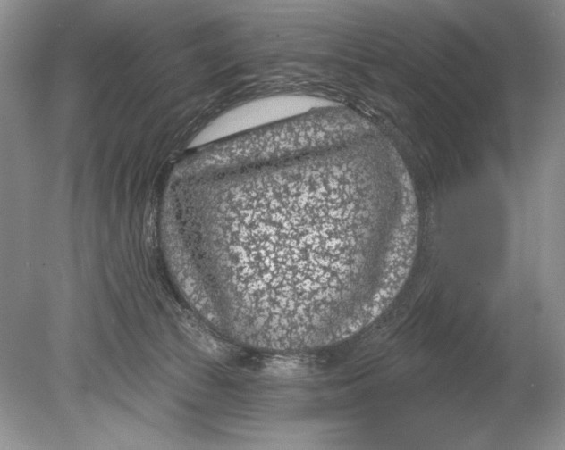 X0000078890177200612111814