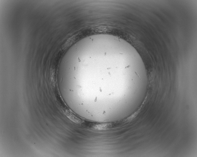 X0000078890178200612111814