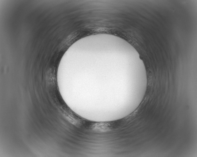 X0000078890179200612111815