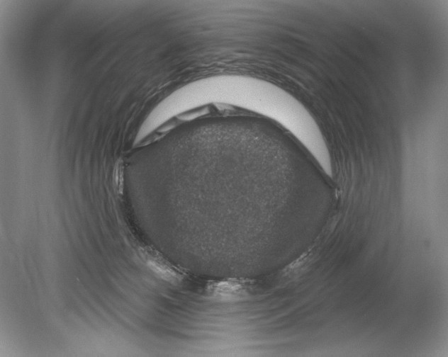 X0000078890180200612111815