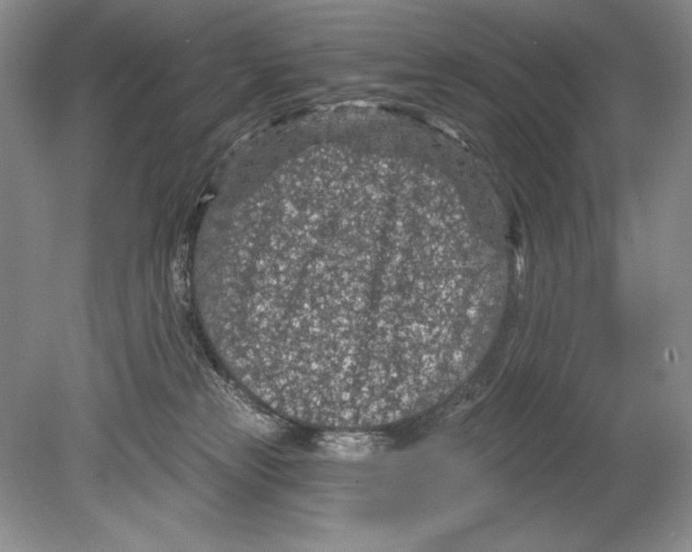 X0000078890181200612111815