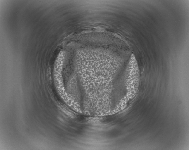 X0000078890182200612111815