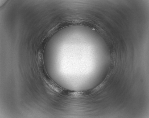 X0000078890184200612111815