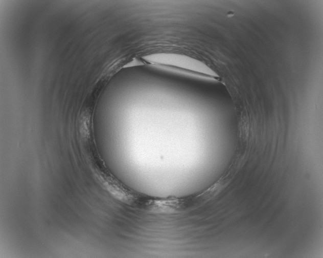 X0000078890188200612111815