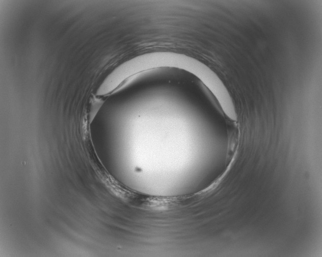 X0000078890190200612111815