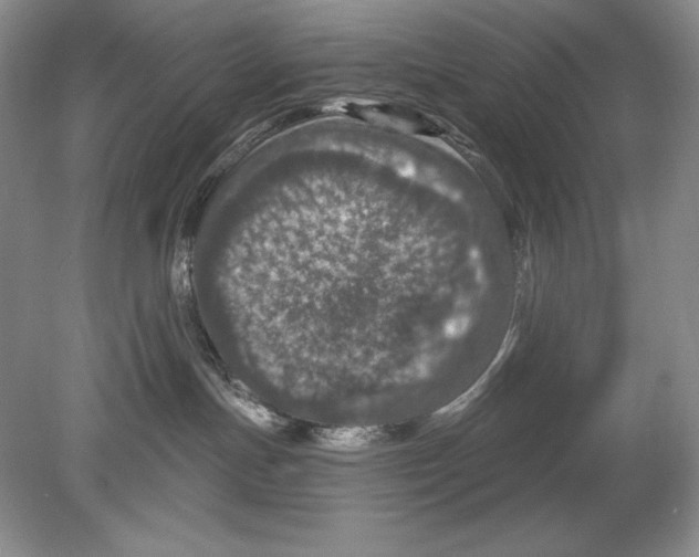 X0000078890191200612111815