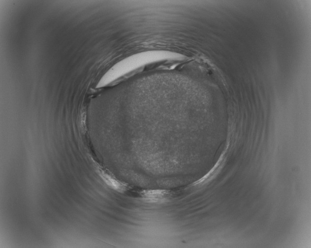 X0000078890192200612111815