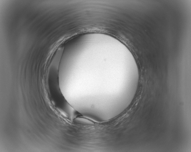 X0000078890193200612111814