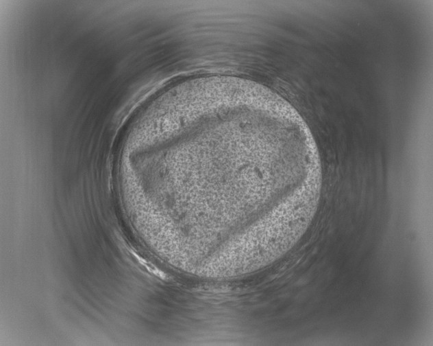 X0000078890194200612111814