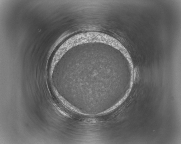 X0000078890195200612111814