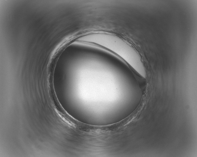 X0000078890197200612111814