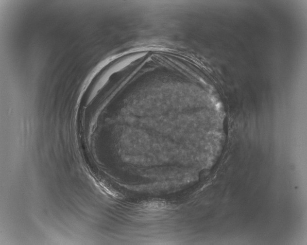 X0000078890200200612111814