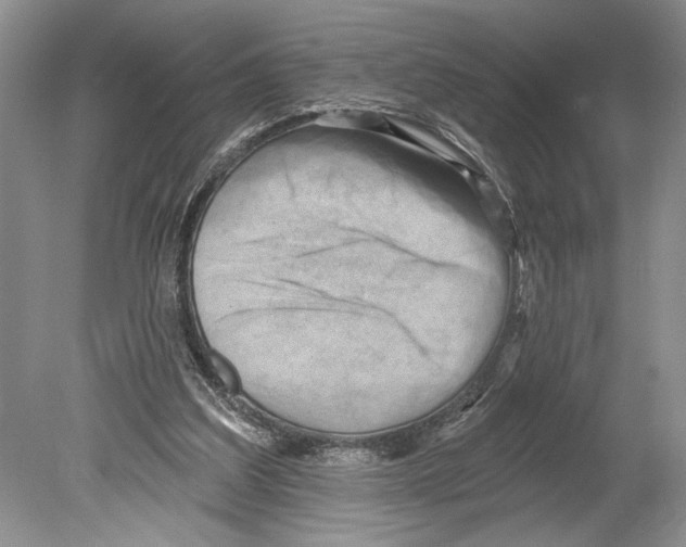 X0000078890203200612111814