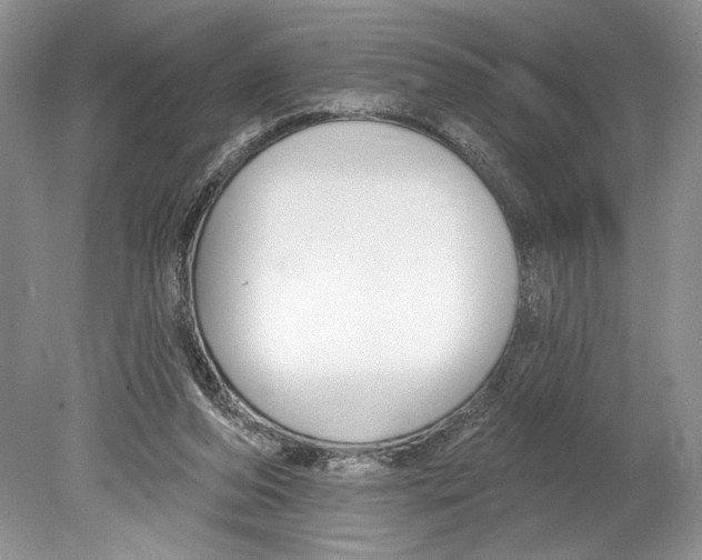 X0000078890208200612111814