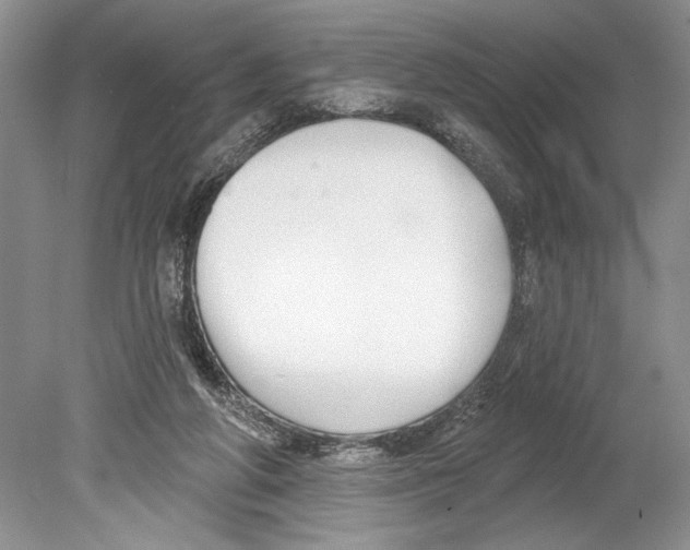 X0000078890210200612111814