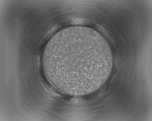 X0000078890211200612111814