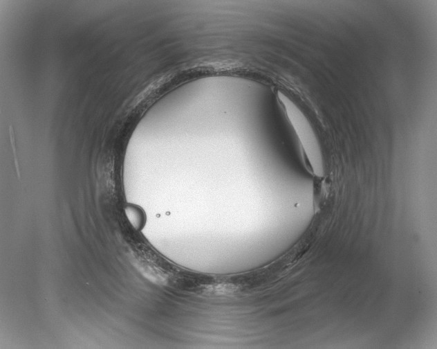 X0000078890212200612111814