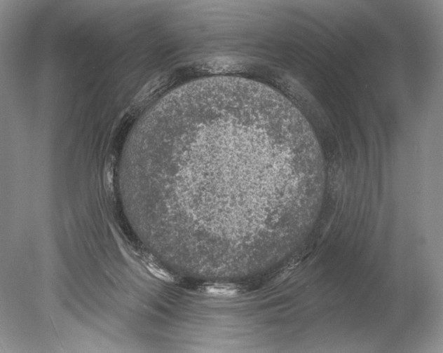 X0000078890214200612111814