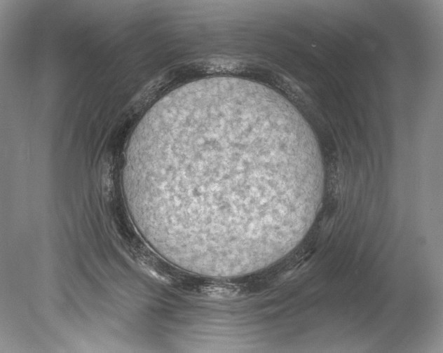 X0000078890215200612111814