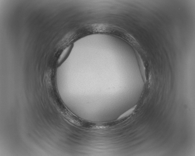 X0000078890217200612111814