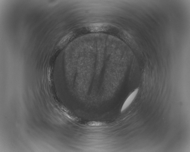 X0000078890219200612111813