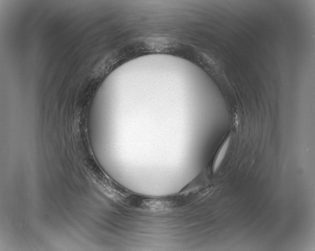 X0000078890221200612111813