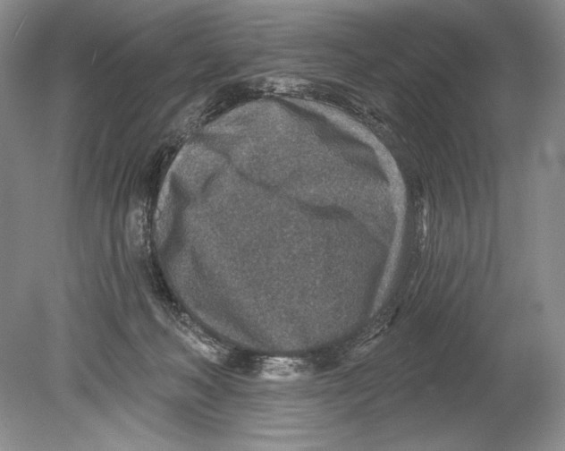 X0000078890222200612111813