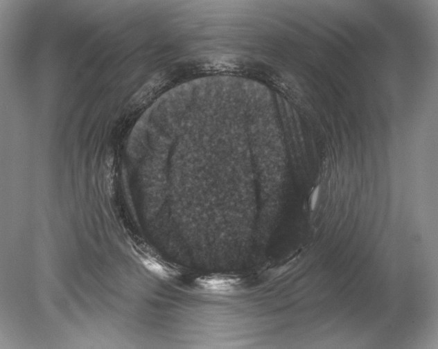 X0000078890223200612111813