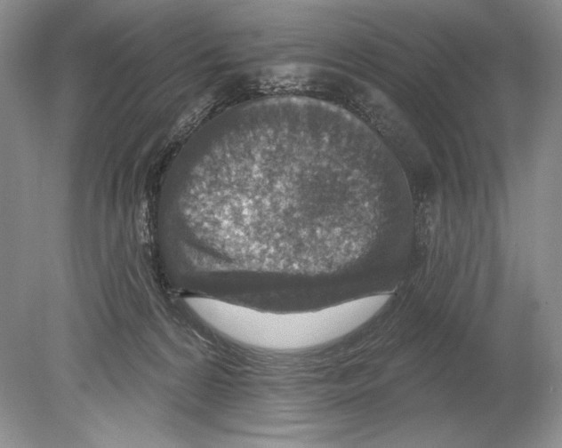 X0000078890224200612111813