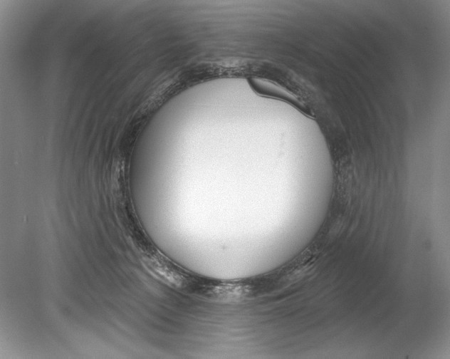 X0000078890225200612111813