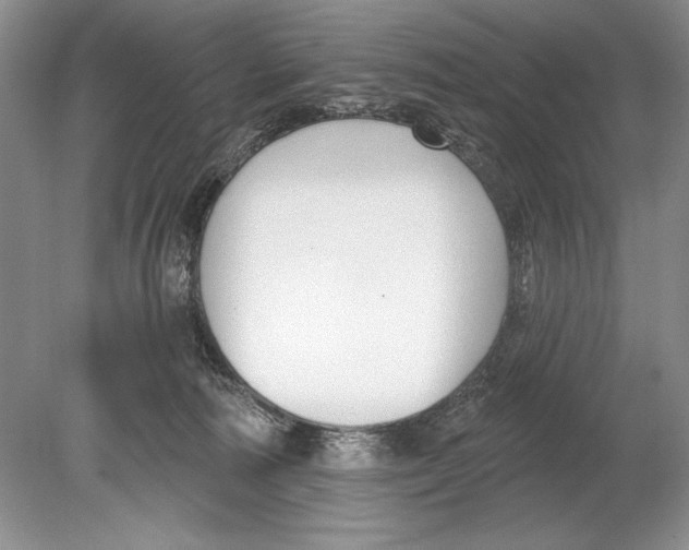 X0000078890226200612111813