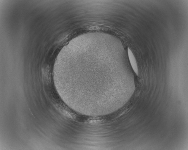 X0000078890228200612111813