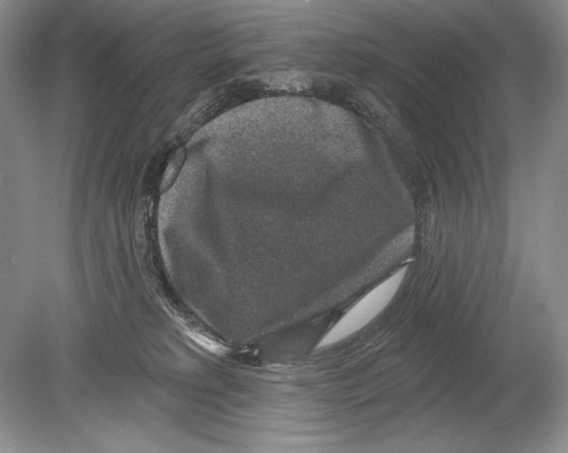 X0000078890229200612111813