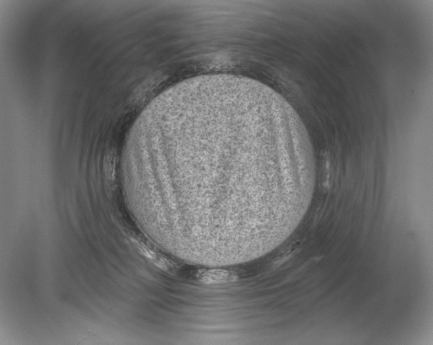 X0000078890230200612111813