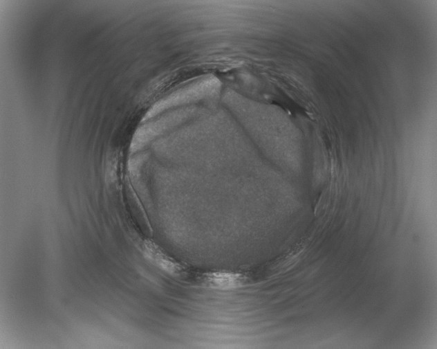 X0000078890233200612111813