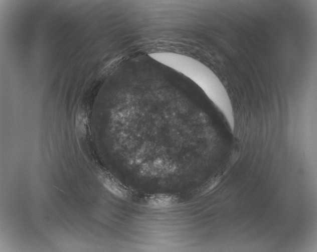 X0000078890235200612111813