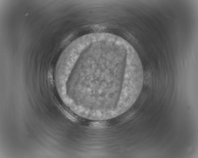 X0000078890238200612111813