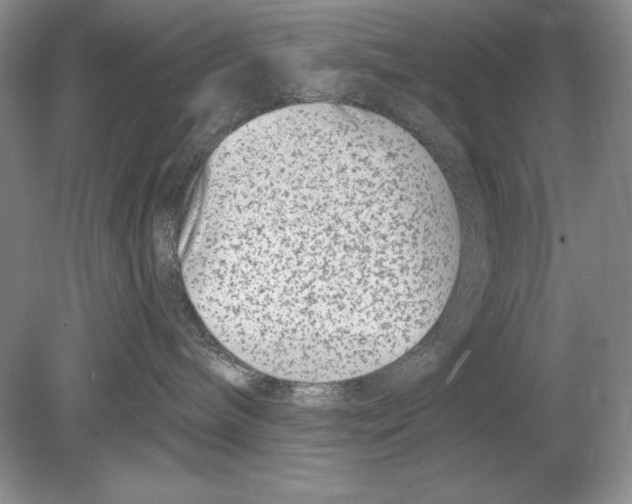 X0000078890240200612111813