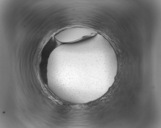 X0000078890241200612111812