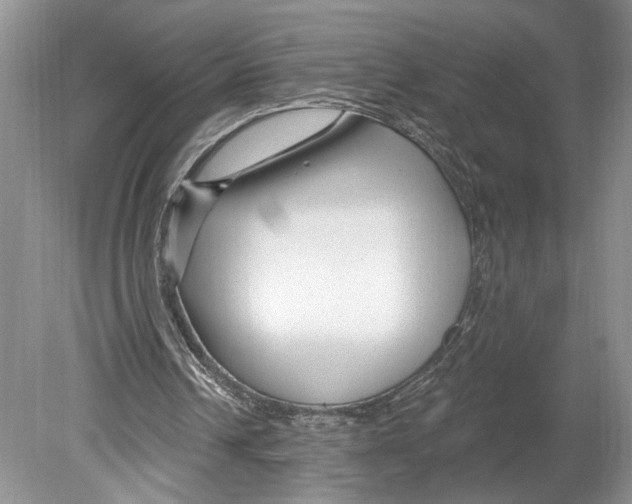 X0000078890242200612111812